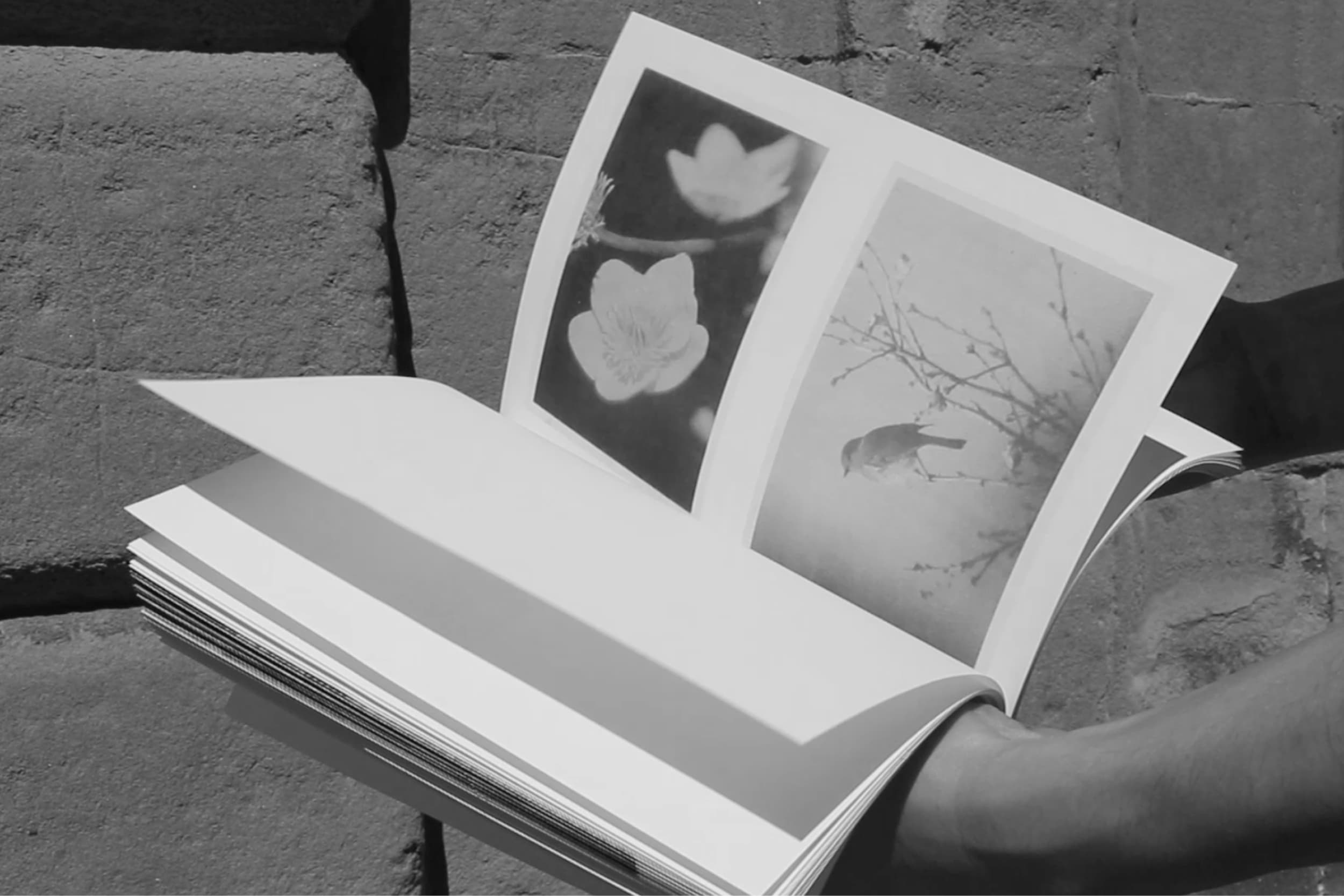 Mémoires dans une boite